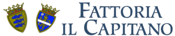 Fattoria il CAPITANO　ファットリア･イル･カピターノ