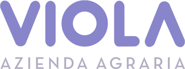 VIOLA　ヴィオラ